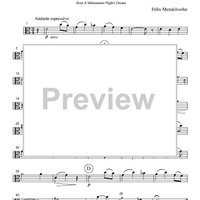 Nocturne - from A Midsummer Night's Dream - Part 2 Viola