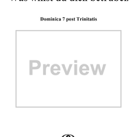 Was willst du dich betrüben