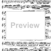 The Accomplished Clarinettist Vol. 1 - Clarinet