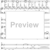 Twenty five Irische Lieder