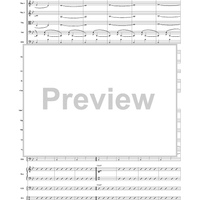 Brazilian Spice - Score