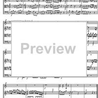 Divertimento No. 7 D Major KV205 - Score