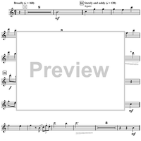 Harry's Wondrous World