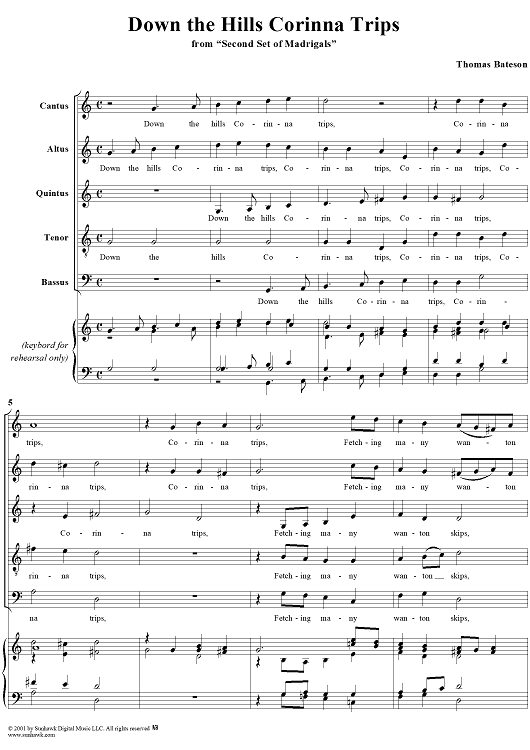 Down the Hills Corinna Trips