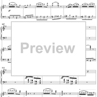 Concert Fantasy. Part 2. Contrastes