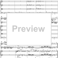 Double Violin Concerto - Score