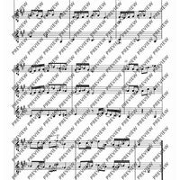 Zwölf Cassationsstücke - Performing Score