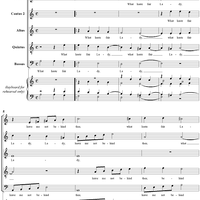 What Haste, Fair Lady