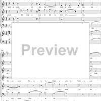 A Sparrow Hawk Proud