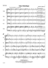 Valse Diabolique - Score