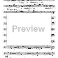 At the Idea of that Medal (All'idea di qual metallo) - Tuba 2