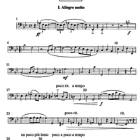 Concertino - Bassoon