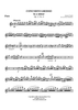 Concerto Grosso in A Minor - Flute