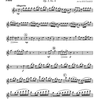 Concerto Grosso in A Minor - Flute