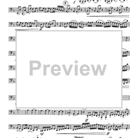 Baroque 'n Brass - Tuba