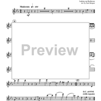 Menuetto - Alto Flute