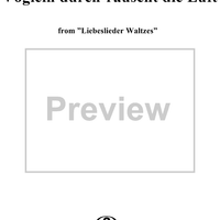 13. Vöglein durch-rauscht die Luft