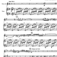 Horn Concerto - Score