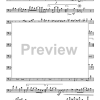 Magnetic Rag - Trombone 1