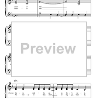 Hawaiian Roller Coaster Ride