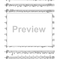 Double Concerto for Recorder and Flute in E minor - Violin 2