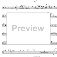 Die Zelle in Nonnenwerth - Cello