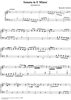 Sonata in E minor - K263/P283/L321