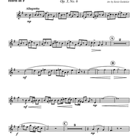 Concerto Grosso in A Minor - Horn in F