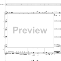Missa (Spaur-Messe) from Mass (Missa Brevis) No. 12 in C Major, K258