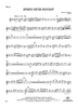 Spring River Fantasy - Flute 2