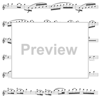 Flute Concerto in G Major, Allegro - Flute