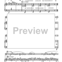 Concerto for Bass Clarinet - Piano Score