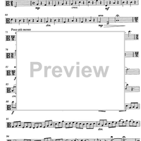 Carmen pro carmine - aria con variazioni - Viola