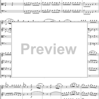 Eine kleine Nachtmusik - Score