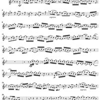 "Willkommen! will ich sagen," Aria, No. 3 from Cantata No. 27: Wer weiss, wie nahe mir mein Ende, BWV27 - English Horn