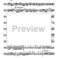 The Southern Cross - Tuba