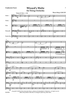 Wizard’s Waltz for String Orchestra - Score