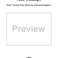 Aux Champs, No. 24 from "Twenty Four Morceau Characteristiques", Op. 36