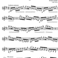 Capriccio No.20 D Major