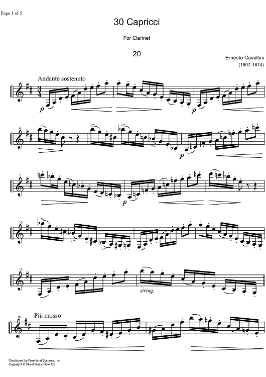 Capriccio No.20 D Major