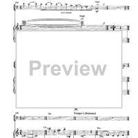 The Loneliest Wilderness - Elegy for Cello and Orchestra - Piano Accompaniment