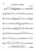 Fantastic Journey - Flute 2