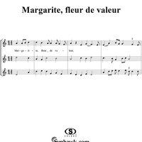 Margarite, fleur de valeur