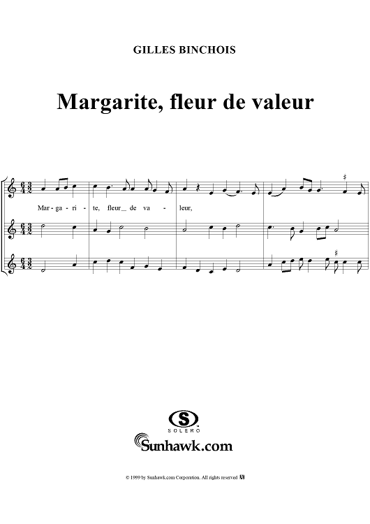 Margarite, fleur de valeur