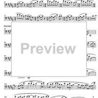 Girl on a Beach Under a Sunshade