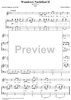 Wandrers Nachtlied II