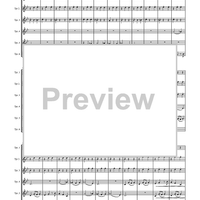 Circuite Suicus - Score