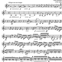 String Quintet C Major D956 - Violin 2