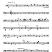 Turkey in the Straw - Bassoon