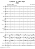 Symphony No. 3 in D Major, "Polish", Movt. 1 - Full Score